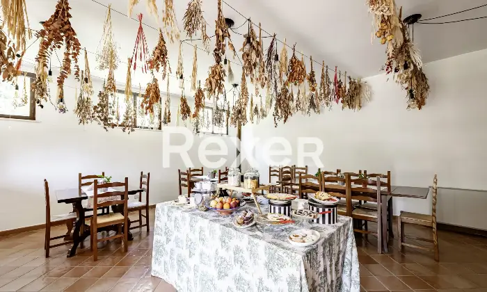 Rexer-Matelica-Tenuta-panoramica-tra-i-vigneti-di-Matelica-ospitalit-natura-e-design-Altro