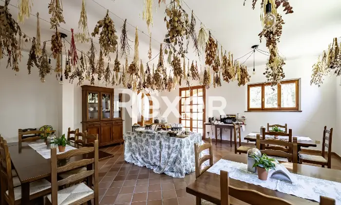 Rexer-Matelica-Tenuta-panoramica-tra-i-vigneti-di-Matelica-ospitalit-natura-e-design-Altro
