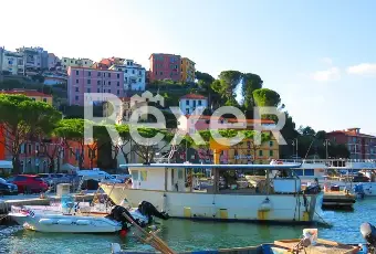 Rexer-La-Spezia-Rustico-indipendente-a-Cadimare-Altro