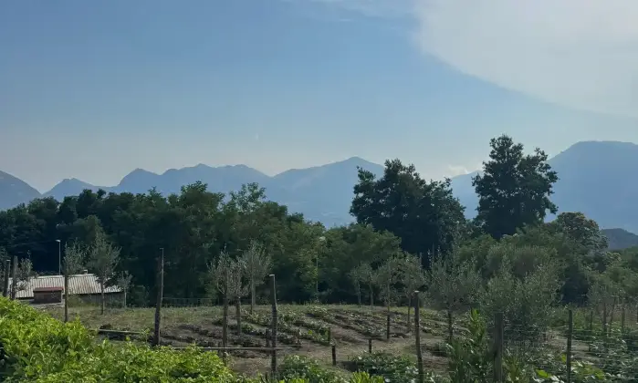 Rexer-Lauria-Villa-in-vendita-a-Lauria-Altro