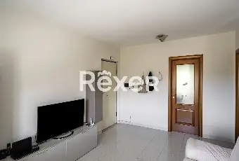 Rexer-Catanzaro-Ampio-e-luminoso-appartamento-a-Catanzaro-Altro