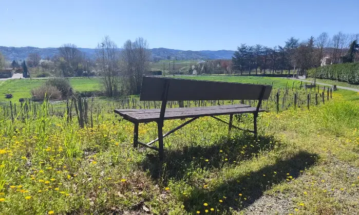 Rexer-Strevi-In-Vendita-Agriturismo-con-Vigneto-e-Fabbricati-Storici-Regione-Carpeneta-Strevi-AL-Altro