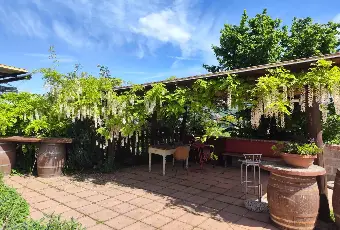Rexer-Strevi-In-Vendita-Agriturismo-con-Vigneto-e-Fabbricati-Storici-Regione-Carpeneta-Strevi-AL-Altro