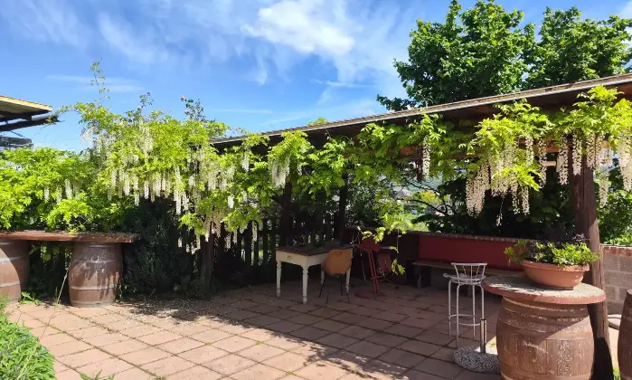 Rexer-Strevi-In-Vendita-Agriturismo-con-Vigneto-e-Fabbricati-Storici-Regione-Carpeneta-Strevi-AL-Altro
