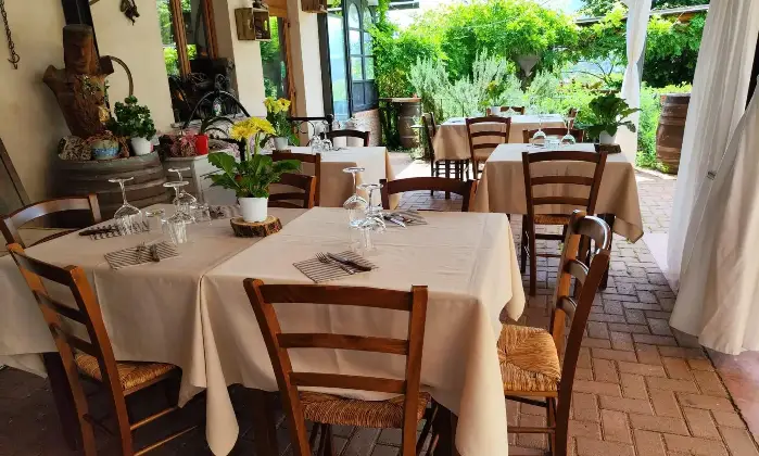 Rexer-Strevi-In-Vendita-Agriturismo-con-Vigneto-e-Fabbricati-Storici-Regione-Carpeneta-Strevi-AL-Altro