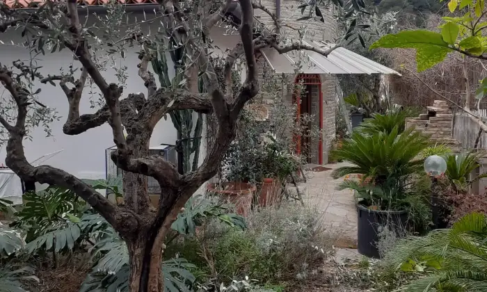 Rexer-Latte-Villa-in-vendita-in-via-Ciabauda-Ventimiglia-Altro