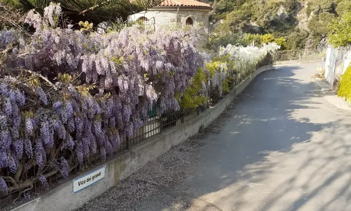 Rexer-Latte-Villa-in-vendita-in-via-Ciabauda-Ventimiglia-Altro