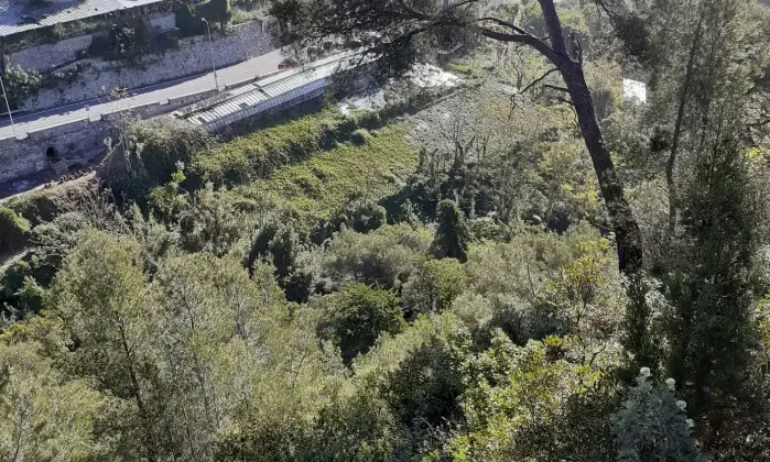 Rexer-Latte-Villa-in-vendita-in-via-Ciabauda-Ventimiglia-Altro