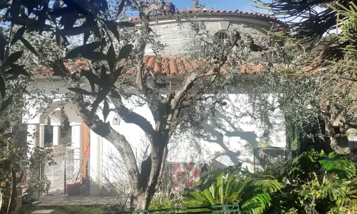 Rexer-Latte-Villa-in-vendita-in-via-Ciabauda-Ventimiglia-Altro