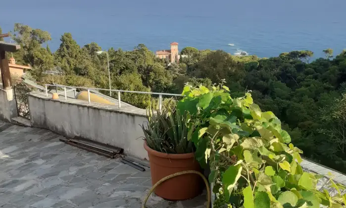 Rexer-Latte-Villa-in-vendita-in-via-Ciabauda-Ventimiglia-Altro