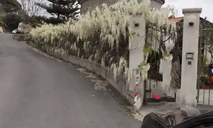 Rexer-Latte-Villa-in-vendita-in-via-Ciabauda-Ventimiglia-Altro