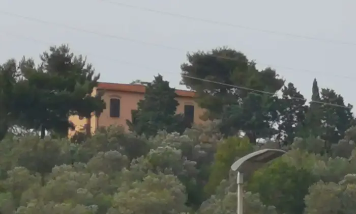 Rexer-Piombino-Villa-con-vista-mare-giardino-e-uliveto-a-Piombino-Giardino