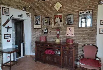 Rexer-Piombino-Villa-con-vista-mare-giardino-e-uliveto-a-Piombino-Altro
