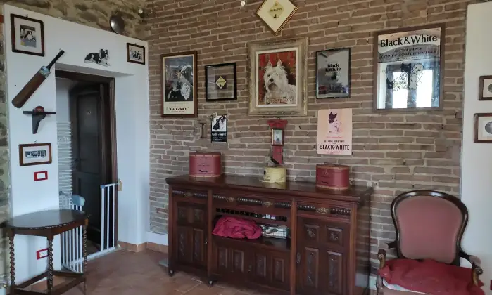 Rexer-Piombino-Villa-con-vista-mare-giardino-e-uliveto-a-Piombino-Altro