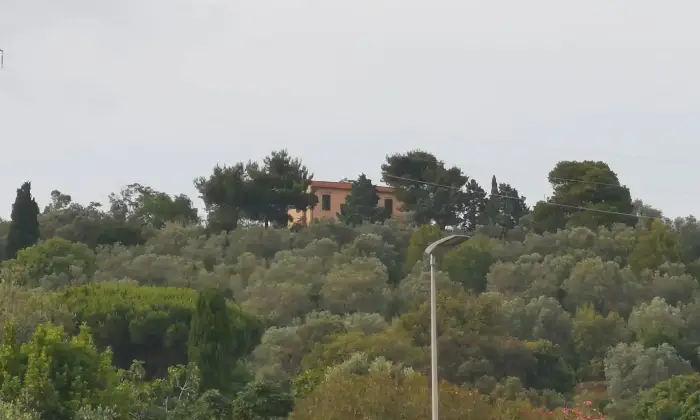 Rexer-Piombino-Villa-con-vista-mare-giardino-e-uliveto-a-Piombino-Terrazzo
