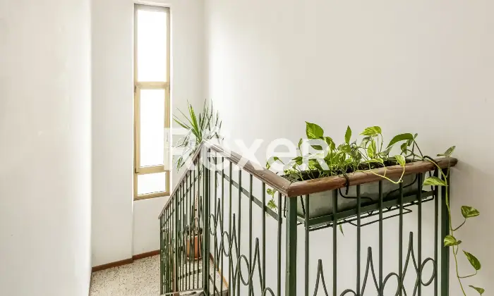 Rexer-Cormano-Cormano-quadrilocale-di-mq-con-terrazzo-Altro