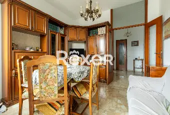 Rexer-Pioltello-Luminoso-trilocale-con-balconi-box-e-cantina-Via-Emilia-Pioltello-Altro
