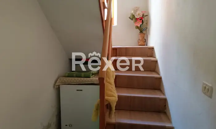 Rexer-Salzen-Tipiche-Case-di-Montagna-in-Vendita-a-Salzen-Dolomiti-Bellunesi-Altro