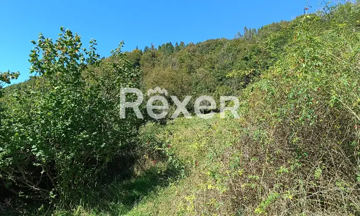 Rexer-Salzen-Tipiche-Case-di-Montagna-in-Vendita-a-Salzen-Dolomiti-Bellunesi-Altro