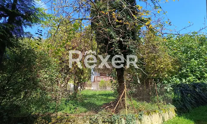 Rexer-Salzen-Tipiche-Case-di-Montagna-in-Vendita-a-Salzen-Dolomiti-Bellunesi-Altro