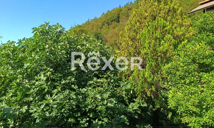 Rexer-Salzen-Tipiche-Case-di-Montagna-in-Vendita-a-Salzen-Dolomiti-Bellunesi-Altro