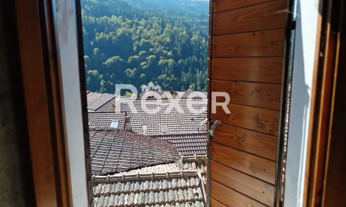 Rexer-Salzen-Tipiche-Case-di-Montagna-in-Vendita-a-Salzen-Dolomiti-Bellunesi-Altro