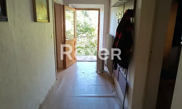 Rexer-Salzen-Tipiche-Case-di-Montagna-in-Vendita-a-Salzen-Dolomiti-Bellunesi-Altro