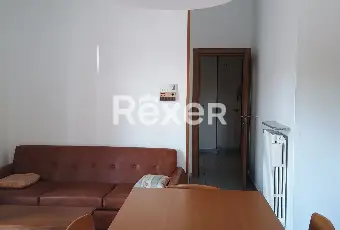 Rexer-Monguzzo-Trilocale-con-box-auto-e-cantina-Altro