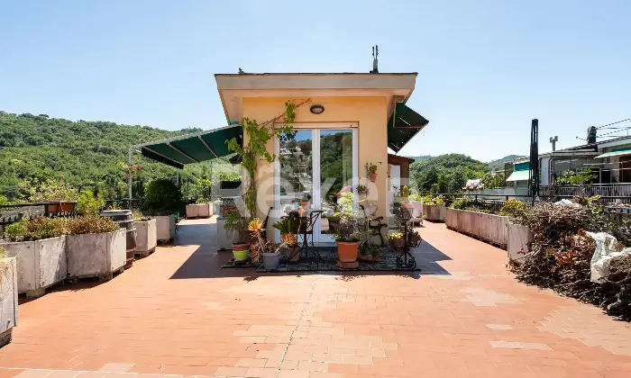 Rexer-Rapallo-SPLENDIDO-ATTICO-CON-GRANDE-TERRAZZO-A-POCHI-PASSI-DAL-GOLF-DI-RAPALLO-CON-POSTO-AUTO-Altro