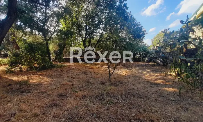 Rexer-pedara-PEDARA-CASA-INDIPENDENTE-Altro