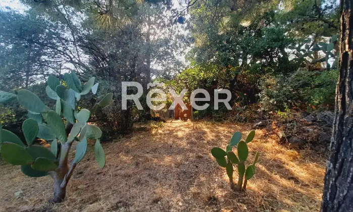 Rexer-pedara-PEDARA-CASA-INDIPENDENTE-Altro