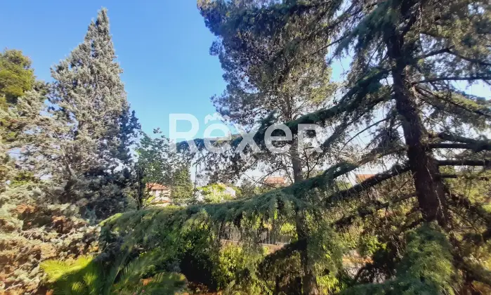 Rexer-pedara-PEDARA-CASA-INDIPENDENTE-Altro