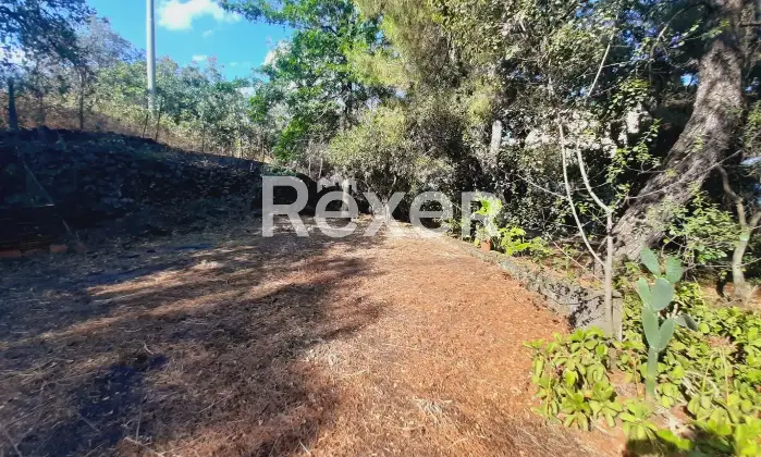 Rexer-pedara-PEDARA-CASA-INDIPENDENTE-Altro