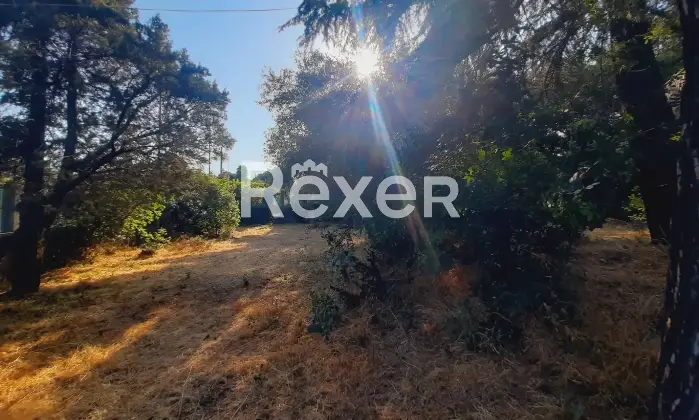 Rexer-pedara-PEDARA-CASA-INDIPENDENTE-Altro