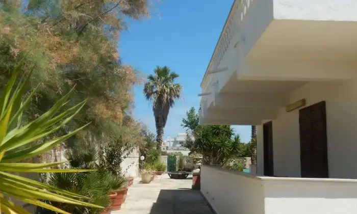 Rexer-Giovinazzo-Vendesi-VILLA-sul-mare-in-Via-Bari-a-Giovinazzo-Terrazzo