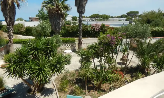 Rexer-Giovinazzo-Vendesi-VILLA-sul-mare-in-Via-Bari-a-Giovinazzo-Giardino