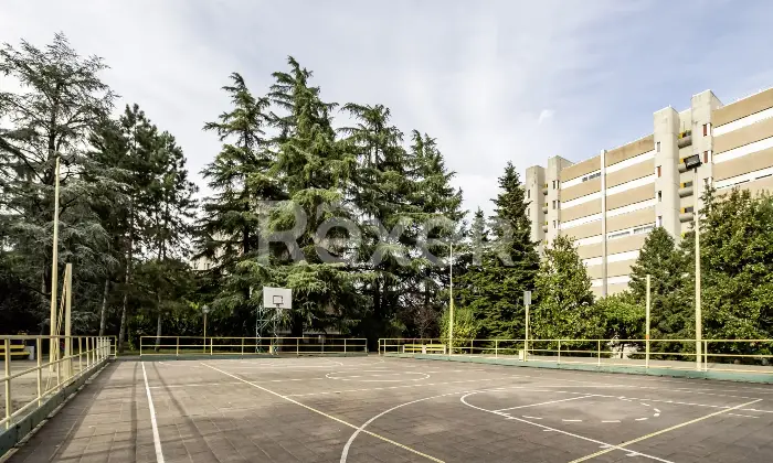 Rexer-Bologna-Appartamento-con-cantina-e-garage-Altro