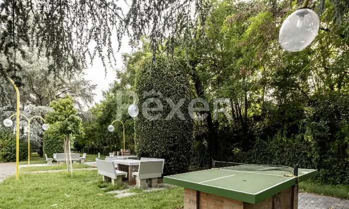 Rexer-Bologna-Appartamento-con-cantina-e-garage-Altro