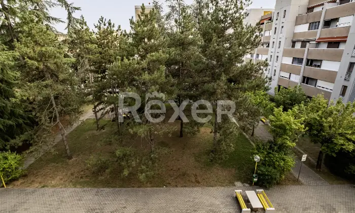 Rexer-Bologna-Appartamento-con-cantina-e-garage-Altro