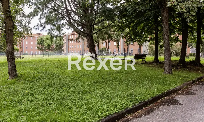 Rexer-Cassina-De-Pecchi-Appartamento-con-cantina-e-due-box-singoli-Altro