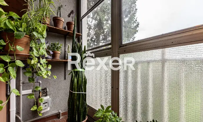 Rexer-Cassina-De-Pecchi-Appartamento-con-cantina-e-due-box-singoli-Altro