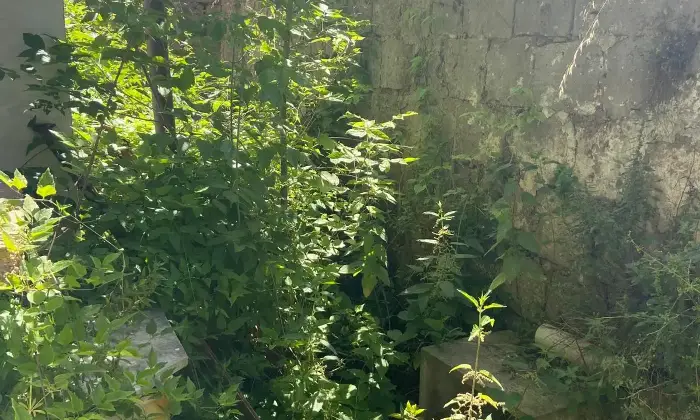 Rexer-Pietramelara-Appartamento-da-ristrutturare-cortile-e-ampi-spazi-interni-Pietramelara-CE-Altro