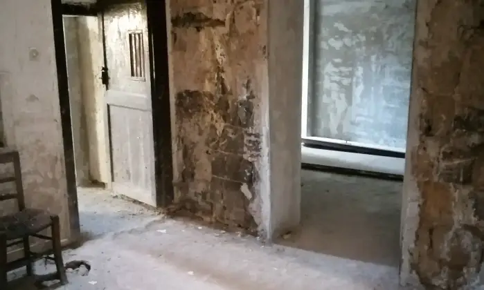 Rexer-Pietramelara-Appartamento-da-ristrutturare-cortile-e-ampi-spazi-interni-Pietramelara-CE-Altro