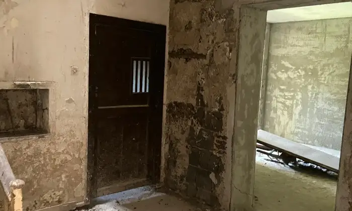 Rexer-Pietramelara-Appartamento-da-ristrutturare-cortile-e-ampi-spazi-interni-Pietramelara-CE-Altro