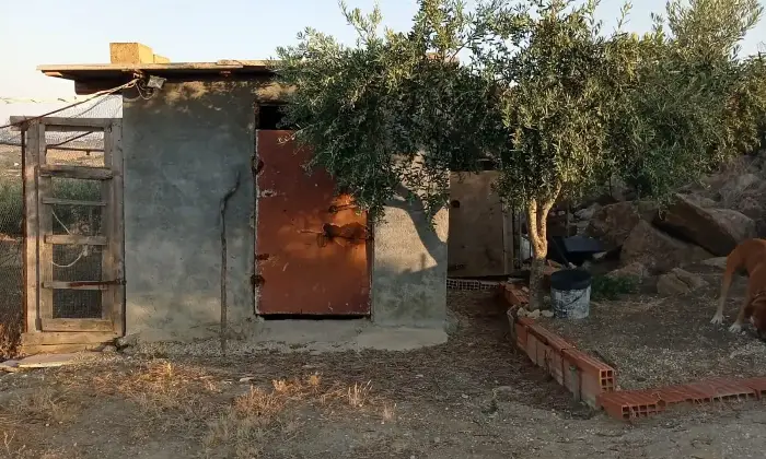 Rexer-Agrigento-Villa-in-vendita-a-Contrada-Pietrarossa-Agrigento-Altro