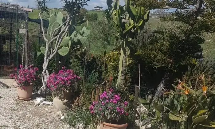 Rexer-Agrigento-Villa-in-vendita-a-Contrada-Pietrarossa-Agrigento-Altro