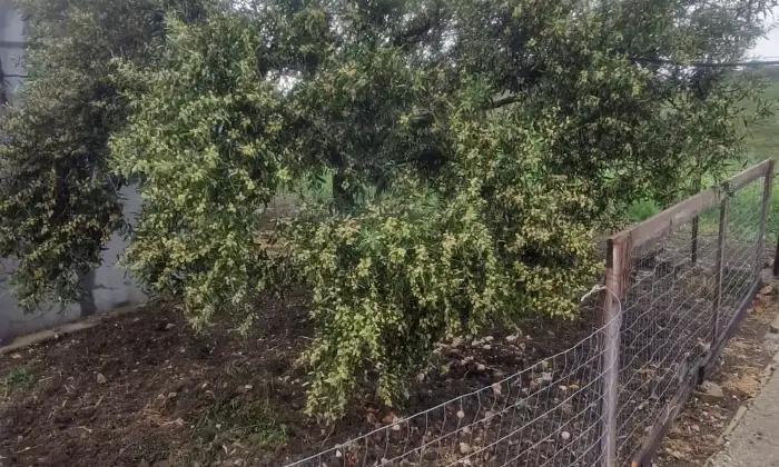 Rexer-Agrigento-Villa-in-vendita-a-Contrada-Pietrarossa-Agrigento-Altro