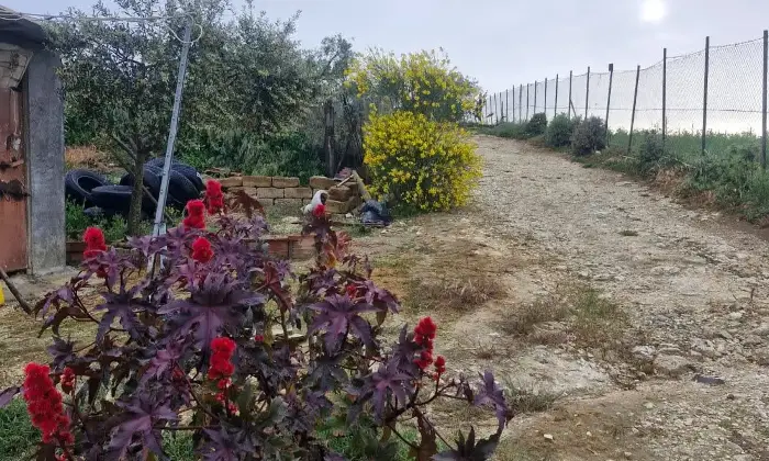 Rexer-Agrigento-Villa-in-vendita-a-Contrada-Pietrarossa-Agrigento-Altro