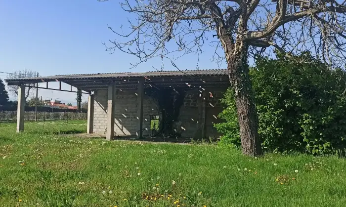 Rexer-Sesto-al-Reghene-Vendesi-lotto-edificabile-con-rustico-da-ristrutturare-a-Ramuscello-PN-Altro