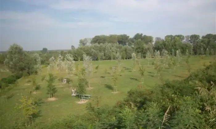 Rexer-Suzzara-Casa-indipendente-in-vendita-Via-Tantine-Suzzara-MN-Altro